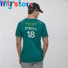 2023 Aston Martin F1 Team T-shirts, Spanish Racing Driver Fernando Alonso 14 and STROLL 18 Oversized T-shirts High Quality T-shi